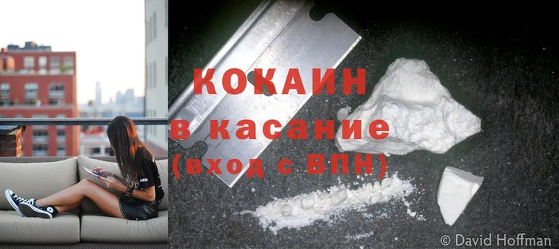 купить закладку  Костомукша  Cocaine FishScale 